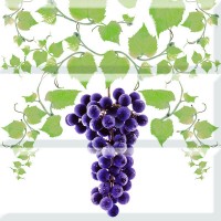 Comp, Grapes 03 B() 30x30(  3- ,) 30x30