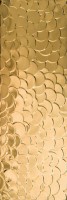 Nordic Gold Shell 29,75x89,46