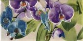   Orquideas Malva Cenefa-3 10 x 20 10x20