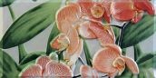   Orquideas Naranja Cenefa-2 10 x 20 10x20