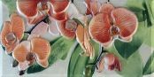   Orquideas Naranja Cenefa-3 10 x 20 10x20