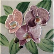   Orquideas Rosa Placa Decor 20 x 20 20x20