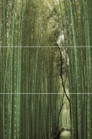  Bambu D/E/F Varna Keros 50x75