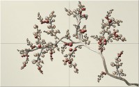  krem bonsai Burgund Cerrol 80x50