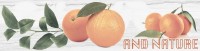  Naranjas 3 (Oranges) 40x10