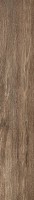  REX CERAMICHE SELECTION OAK Brown Oak 20x120