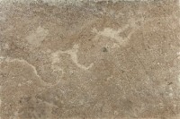 Venus Ceramica Terrace Grey 4466 44x66