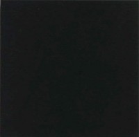 Monocolor Negro 31,631,6 31.6x31.6