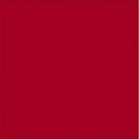 Monocolor Rojo Volcan 2020 20x20