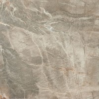   Brown Fossil Stone ABK 50x50